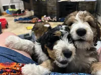 processed/061ab6cb-aa03-439a-8219-c0e4e23e6672/facility/2ca48717-1033-4dd9-bcd6-4bcc22564e74