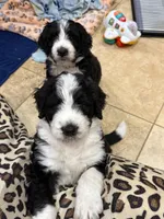 processed/061ab6cb-aa03-439a-8219-c0e4e23e6672/facility/4e6fbbcc-9fd4-49b6-9f84-f1387a125d2b