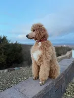 processed/061ab6cb-aa03-439a-8219-c0e4e23e6672/facility/85f39347-7629-4751-97a4-c396b668fd5b