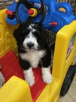 processed/061ab6cb-aa03-439a-8219-c0e4e23e6672/facility/94e0fa5c-5bd1-4458-bf96-ddc178d6b447