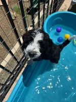 processed/061ab6cb-aa03-439a-8219-c0e4e23e6672/facility/adc28ba8-404b-4edf-8554-7a8915ab719f