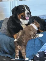 processed/061ab6cb-aa03-439a-8219-c0e4e23e6672/facility/e5c681bf-bc52-4179-a295-a6a5c30b3e6f