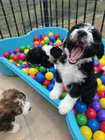 processed/061ab6cb-aa03-439a-8219-c0e4e23e6672/facility/e64194b2-88a8-4e4e-8c32-17988b10601c