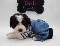 processed/061ab6cb-aa03-439a-8219-c0e4e23e6672/listing/2ab54a49-9d97-49e9-9166-7e06ccc6d07a/660aab50-cdfb-4551-bfa1-407853c28e39