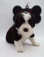 processed/061ab6cb-aa03-439a-8219-c0e4e23e6672/listing/2ab54a49-9d97-49e9-9166-7e06ccc6d07a/80fc1cb7-3bc3-4bae-86b4-db8d718b654a