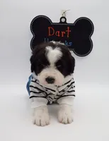 processed/061ab6cb-aa03-439a-8219-c0e4e23e6672/listing/2ab54a49-9d97-49e9-9166-7e06ccc6d07a/a450400f-39df-414e-bae1-9dacf5da8643