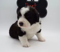 processed/061ab6cb-aa03-439a-8219-c0e4e23e6672/listing/2ab54a49-9d97-49e9-9166-7e06ccc6d07a/ffc430ea-9bc2-4f80-97ae-0d9d56f137c5