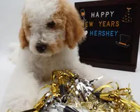 processed/061ab6cb-aa03-439a-8219-c0e4e23e6672/listing/7e6b2b70-fd0d-48e3-aff8-9dae0ff081d4/02006b1b-eeb5-4df2-bd71-4ab591838d7f