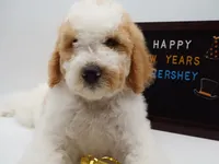 processed/061ab6cb-aa03-439a-8219-c0e4e23e6672/listing/7e6b2b70-fd0d-48e3-aff8-9dae0ff081d4/0ba57960-a07a-4d05-8406-b99f09a943b3