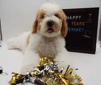 processed/061ab6cb-aa03-439a-8219-c0e4e23e6672/listing/7e6b2b70-fd0d-48e3-aff8-9dae0ff081d4/6ed2a9d9-fccd-4cd3-9372-93dbeab66ee5