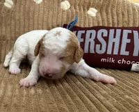 processed/061ab6cb-aa03-439a-8219-c0e4e23e6672/listing/7e6b2b70-fd0d-48e3-aff8-9dae0ff081d4/dfc5eb18-318d-4a2d-b072-630dd622ac15