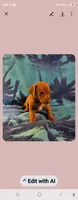 Boy daschund/ beagle, a male Miniature Dachshund for sale in Broken Arrow, OK – 1 of 1
