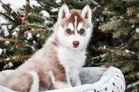 processed/062f312a-3941-4a3b-b00b-8926f2ddd913/facility/ad80a538-1907-4580-ba4c-c1324f70c342