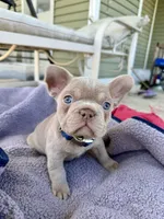 processed/062f3b2c-3694-4b2a-a7bc-22671d664e4b/facility/1468b0d7-6321-4a80-a95b-f282fb69e821