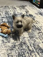 processed/062f4cbb-1601-4b9d-abaa-26d9d994dce0/listing/169e60dc-40d4-4971-ad76-a441367a8964/cb8ce779-019d-447b-a3a2-628d7efb6b72