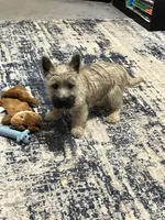 processed/062f4cbb-1601-4b9d-abaa-26d9d994dce0/listing/169e60dc-40d4-4971-ad76-a441367a8964/dbf9beef-5620-48f5-bea8-4649029832ba