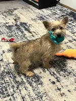 processed/062f4cbb-1601-4b9d-abaa-26d9d994dce0/listing/2df8be5e-e0a9-4dc4-8577-318839bc6394/5a7748f4-2a9f-434e-ad2c-0b1b5116d60b