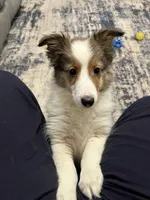 processed/062f4cbb-1601-4b9d-abaa-26d9d994dce0/listing/303c2ec6-c40d-4320-b1c3-5a6a8d0ffa82/c26bd4e8-6661-4879-a06b-1807656ce06f