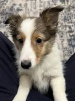 processed/062f4cbb-1601-4b9d-abaa-26d9d994dce0/listing/303c2ec6-c40d-4320-b1c3-5a6a8d0ffa82/ddfbc2b3-d751-4a04-bded-1cde0db2126d