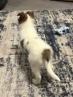 processed/062f4cbb-1601-4b9d-abaa-26d9d994dce0/listing/417349ea-a7b2-49a6-afe6-517d263a3840/36f5ca43-2afc-4e74-b2bb-ecca39f41bd2