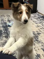 processed/062f4cbb-1601-4b9d-abaa-26d9d994dce0/listing/417349ea-a7b2-49a6-afe6-517d263a3840/3ad382a2-c42c-4b93-9a00-12c1704e0b0b