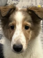 processed/062f4cbb-1601-4b9d-abaa-26d9d994dce0/listing/417349ea-a7b2-49a6-afe6-517d263a3840/d9e9df75-bb1b-4ace-879d-14dd9fca4928