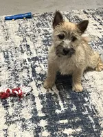 processed/062f4cbb-1601-4b9d-abaa-26d9d994dce0/listing/8e5f7ac7-87db-4507-890c-97fec618cf7c/84c5ad76-476d-4305-9713-eaa892324ef9