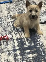 processed/062f4cbb-1601-4b9d-abaa-26d9d994dce0/listing/8e5f7ac7-87db-4507-890c-97fec618cf7c/dc4b4bc9-69ab-4010-8d72-a80fcc93a507