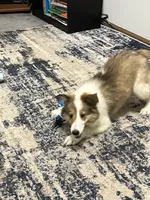 processed/062f4cbb-1601-4b9d-abaa-26d9d994dce0/listing/ff590714-1003-4388-b972-70f1b996d680/66b86879-e4c7-4ecc-a306-5b42d44e2c07