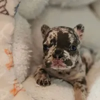 processed/06320814-b83f-4c34-88eb-7f963a0bea77/facility/14fd8114-e7e4-469f-a145-d994e145a8db