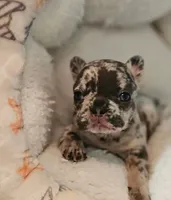 processed/06320814-b83f-4c34-88eb-7f963a0bea77/facility/14fd8114-e7e4-469f-a145-d994e145a8db