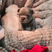 processed/06320814-b83f-4c34-88eb-7f963a0bea77/facility/406ff59f-d769-4347-887e-5c4949e16e2b