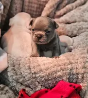 processed/06320814-b83f-4c34-88eb-7f963a0bea77/facility/406ff59f-d769-4347-887e-5c4949e16e2b