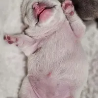 processed/06320814-b83f-4c34-88eb-7f963a0bea77/facility/6a3833a2-423e-4b8f-aab3-4d9609683d5b