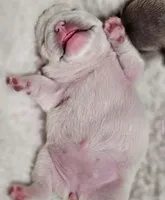 processed/06320814-b83f-4c34-88eb-7f963a0bea77/facility/6a3833a2-423e-4b8f-aab3-4d9609683d5b