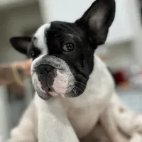 processed/06320814-b83f-4c34-88eb-7f963a0bea77/facility/7dde5543-35a8-4f2c-92b2-2a1a37ff241f