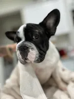 processed/06320814-b83f-4c34-88eb-7f963a0bea77/facility/7dde5543-35a8-4f2c-92b2-2a1a37ff241f