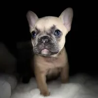 processed/06320814-b83f-4c34-88eb-7f963a0bea77/facility/c88e1a4a-9f27-459e-812e-3560c84b257a