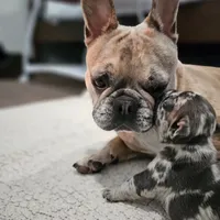 processed/06320814-b83f-4c34-88eb-7f963a0bea77/facility/c97df8d3-0580-4406-aefd-0d0c4572511d