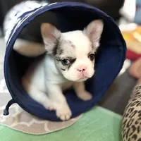 processed/06320814-b83f-4c34-88eb-7f963a0bea77/facility/ccee16c6-b9cb-487f-9d9a-4d26513191d0