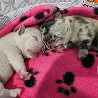 processed/06320814-b83f-4c34-88eb-7f963a0bea77/facility/e3a3a7cf-8af0-4bfd-ac75-ca86a64a2ecc