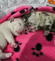 processed/06320814-b83f-4c34-88eb-7f963a0bea77/facility/e3a3a7cf-8af0-4bfd-ac75-ca86a64a2ecc