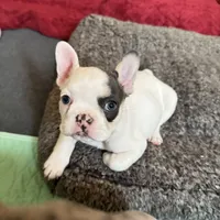 processed/06320814-b83f-4c34-88eb-7f963a0bea77/facility/ed34a8e6-68be-41c8-9c00-b2eab9d56623