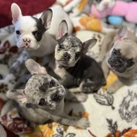 processed/06320814-b83f-4c34-88eb-7f963a0bea77/facility/f2bb682b-a2ab-46ff-adad-e4433e9a4fc5