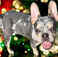 processed/06320814-b83f-4c34-88eb-7f963a0bea77/listing/1c0a14f5-7baa-469e-97ea-fe7a6d9340a3/4f23df6f-c053-4138-9a5e-5ca937a6822f