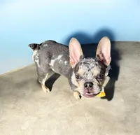 processed/06320814-b83f-4c34-88eb-7f963a0bea77/listing/1c0a14f5-7baa-469e-97ea-fe7a6d9340a3/5a1985f6-748b-4780-a6b4-503effcdd187