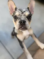 processed/06320814-b83f-4c34-88eb-7f963a0bea77/listing/1c0a14f5-7baa-469e-97ea-fe7a6d9340a3/9285781c-59dd-460a-beb7-3c78180156c2