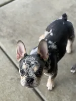 processed/06320814-b83f-4c34-88eb-7f963a0bea77/listing/1c0a14f5-7baa-469e-97ea-fe7a6d9340a3/c94a70ca-8736-495d-9c0e-9c8b16e217a3