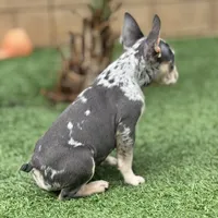 processed/06320814-b83f-4c34-88eb-7f963a0bea77/listing/1c0a14f5-7baa-469e-97ea-fe7a6d9340a3/ebcf0691-9edb-45af-8ea4-07b9767f827e