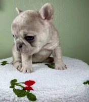 processed/06320814-b83f-4c34-88eb-7f963a0bea77/listing/1de6ca4e-d00f-4245-b202-71439efec3bd/19f44ef9-2624-4390-a670-06c54d01416c